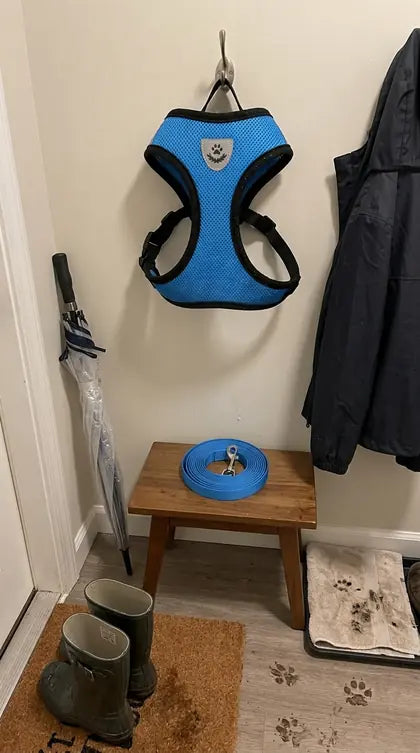 Customer photo featuring Furavora AirMesh Harness Set