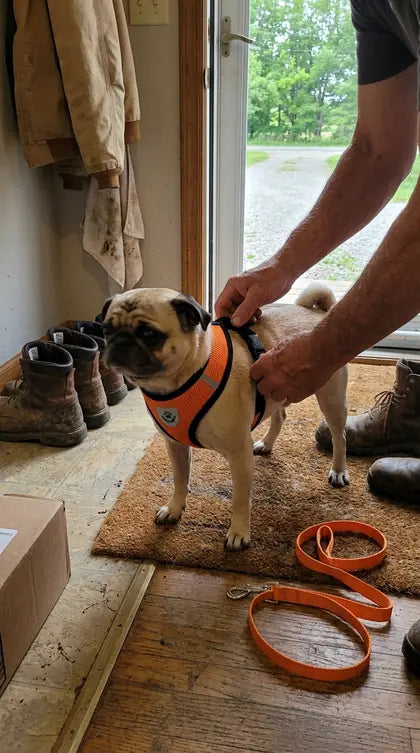 Customer photo featuring Furavora AirMesh Harness Set