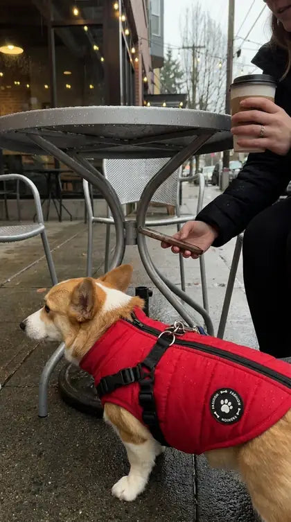 Customer photo featuring Furavora Quilted Winter Jacket