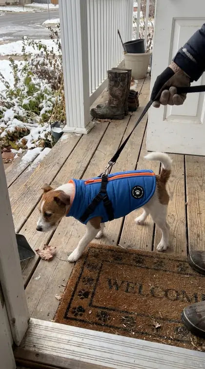Customer photo featuring Furavora Quilted Winter Jacket