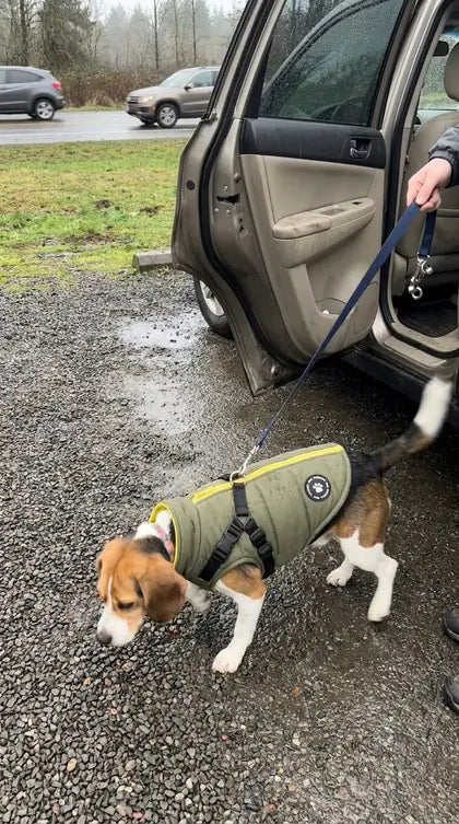 Customer photo featuring Furavora Quilted Winter Jacket