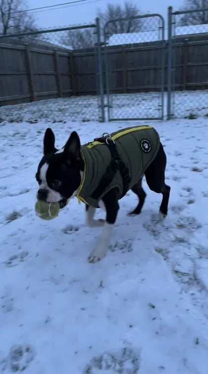 Customer photo featuring Furavora Quilted Winter Jacket