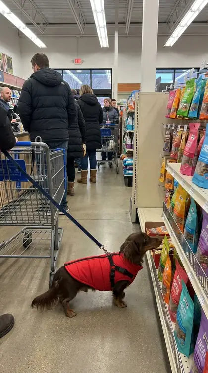 Customer photo featuring Furavora Quilted Winter Jacket