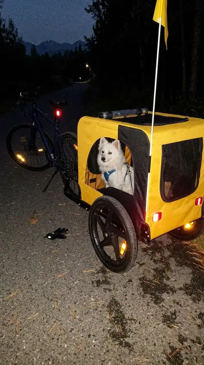 Customer photo featuring Furavora Stroller Bike Trailer