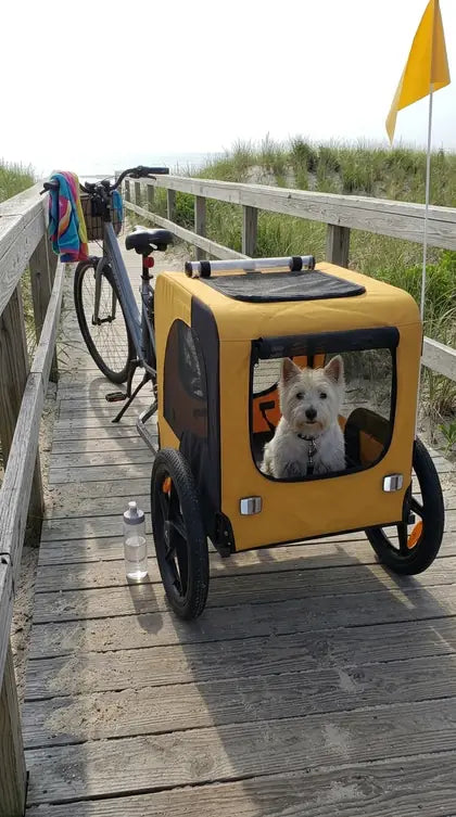 Customer photo featuring Furavora Stroller Bike Trailer