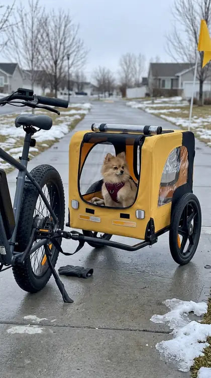 Customer photo featuring Furavora Stroller Bike Trailer