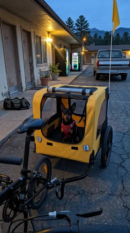 Customer photo featuring Furavora Stroller Bike Trailer