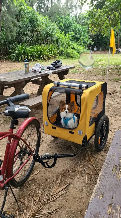 Customer photo featuring Furavora Stroller Bike Trailer