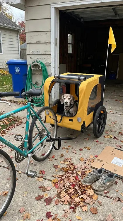 Customer photo featuring Furavora Stroller Bike Trailer