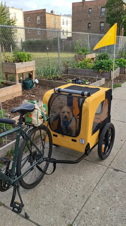Customer photo featuring Furavora Stroller Bike Trailer