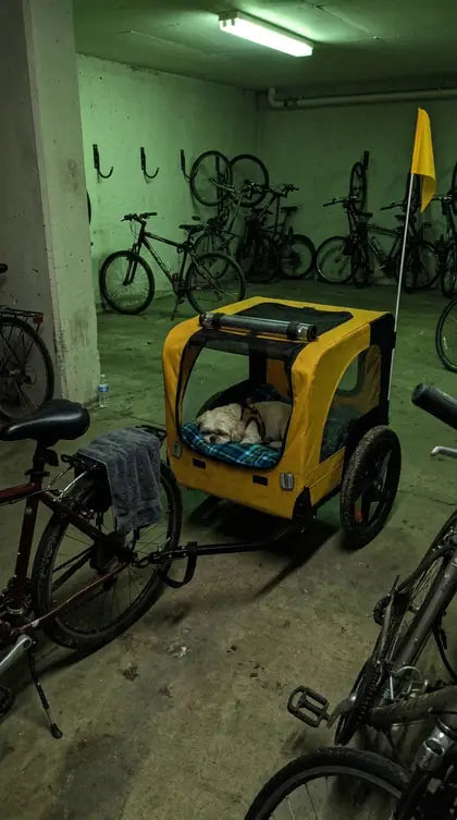 Customer photo featuring Furavora Stroller Bike Trailer