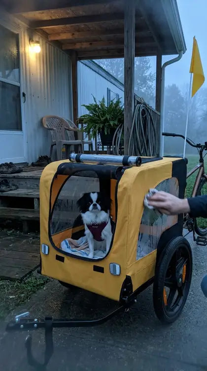Customer photo featuring Furavora Stroller Bike Trailer