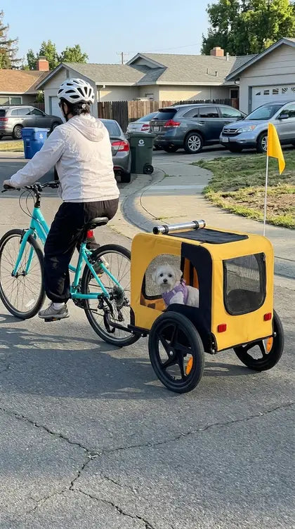 Customer photo featuring Furavora Stroller Bike Trailer