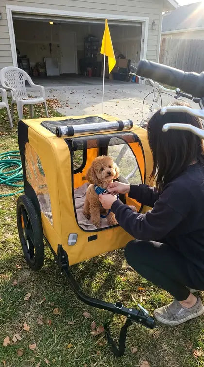 Customer photo featuring Furavora Stroller Bike Trailer