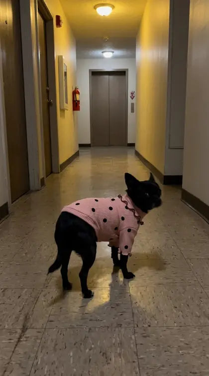 Customer photo featuring Furavora Polka-Dot Turtleneck