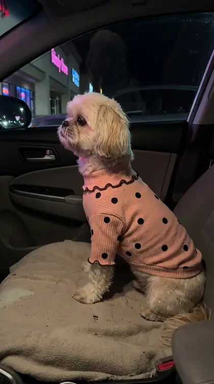 Customer photo featuring Furavora Polka-Dot Turtleneck