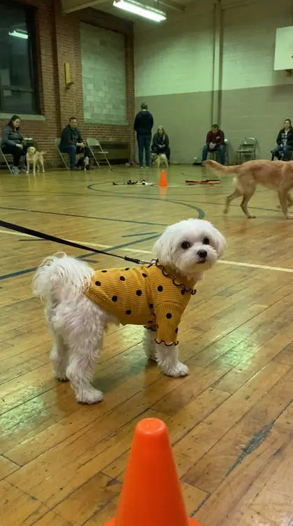 Customer photo featuring Furavora Polka-Dot Turtleneck