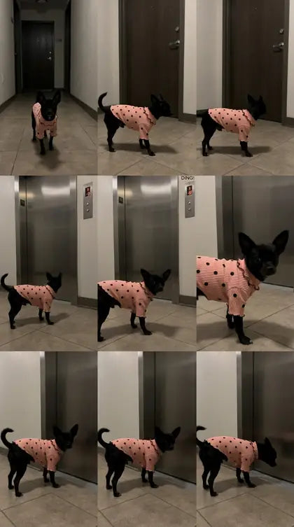 Customer photo featuring Furavora Polka-Dot Turtleneck