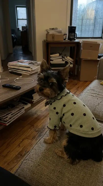 Customer photo featuring Furavora Polka-Dot Turtleneck