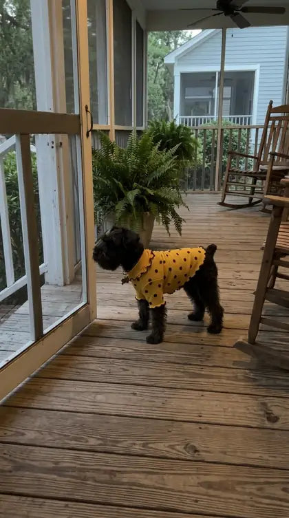Customer photo featuring Furavora Polka-Dot Turtleneck