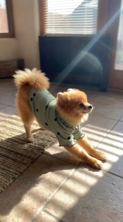 Customer photo featuring Furavora Polka-Dot Turtleneck