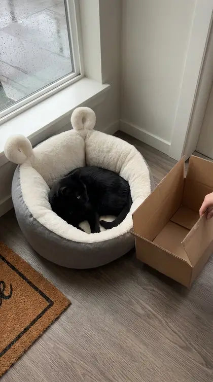 Customer photo featuring Furavora Cozy Sleeping Nest