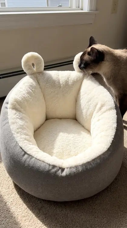 Customer photo featuring Furavora Cozy Sleeping Nest