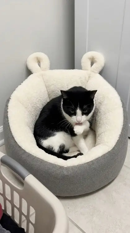 Customer photo featuring Furavora Cozy Sleeping Nest