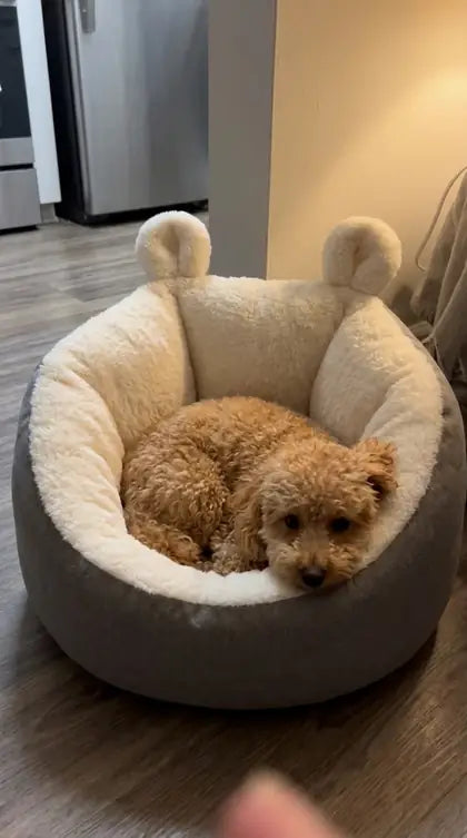 Customer photo featuring Furavora Cozy Sleeping Nest