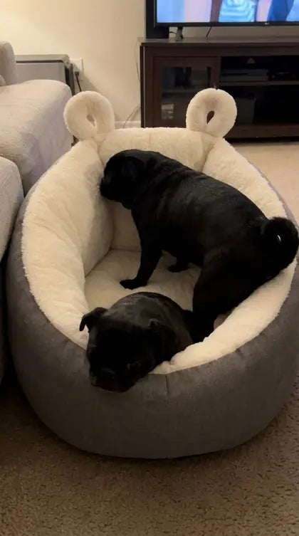 Customer photo featuring Furavora Cozy Sleeping Nest