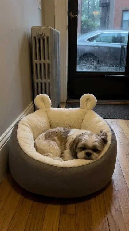 Customer photo featuring Furavora Cozy Sleeping Nest