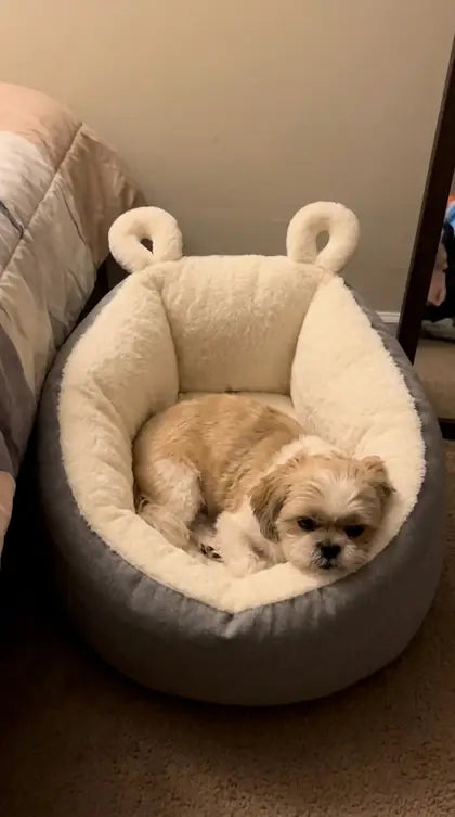 Customer photo featuring Furavora Cozy Sleeping Nest