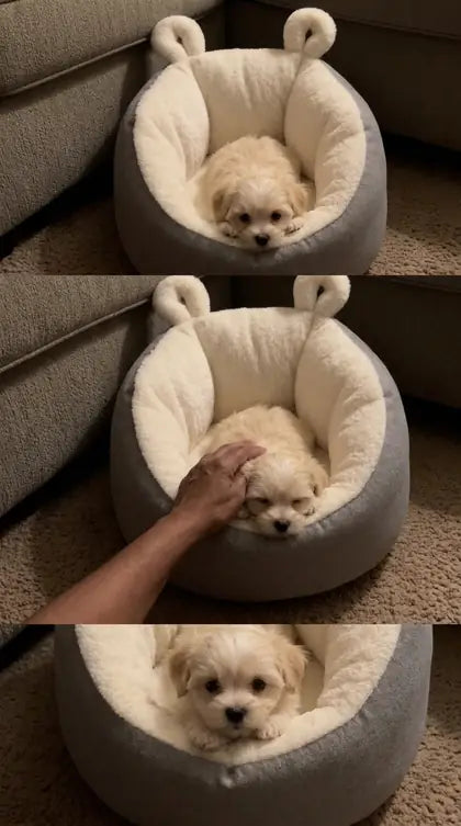 Customer photo featuring Furavora Cozy Sleeping Nest