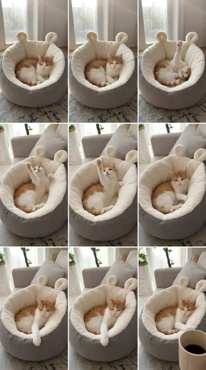 Customer photo featuring Furavora Cozy Sleeping Nest