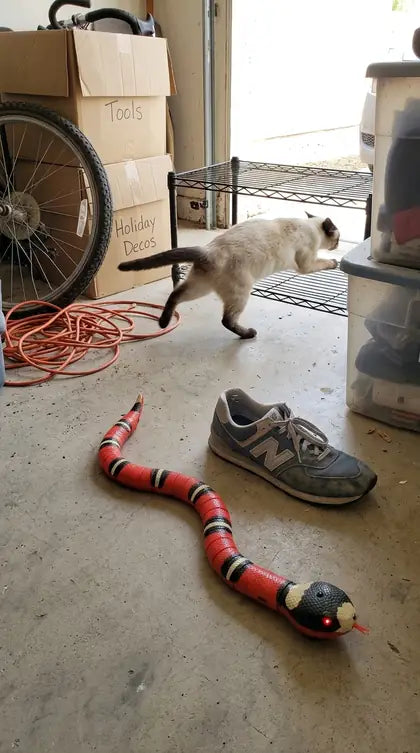 Customer photo featuring Furavora Smart Snake Toy