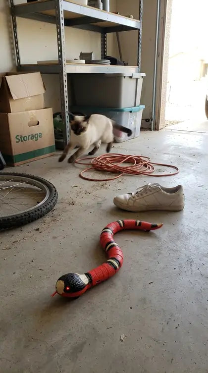 Customer photo featuring Furavora Smart Snake Toy