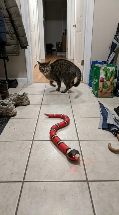 Customer photo featuring Furavora Smart Snake Toy