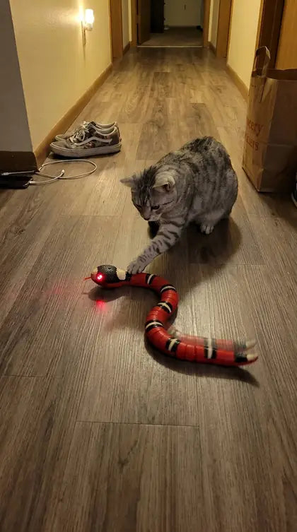 Customer photo featuring Furavora Smart Snake Toy