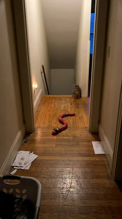 Customer photo featuring Furavora Smart Snake Toy