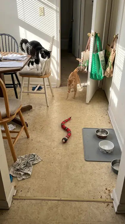 Customer photo featuring Furavora Smart Snake Toy