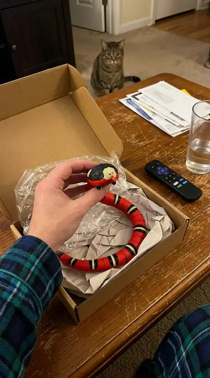 Customer photo featuring Furavora Smart Snake Toy