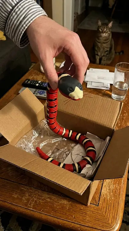Customer photo featuring Furavora Smart Snake Toy