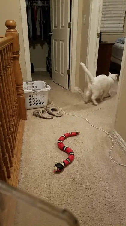 Customer photo featuring Furavora Smart Snake Toy