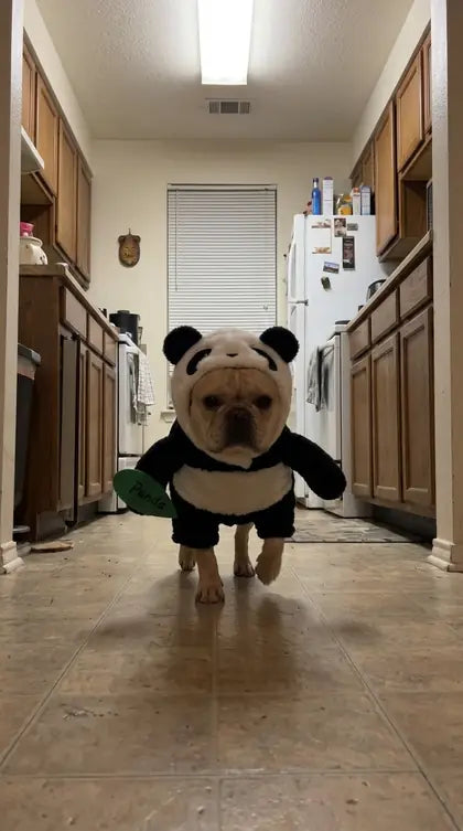 Customer photo featuring Furavora Upright Hero Costume