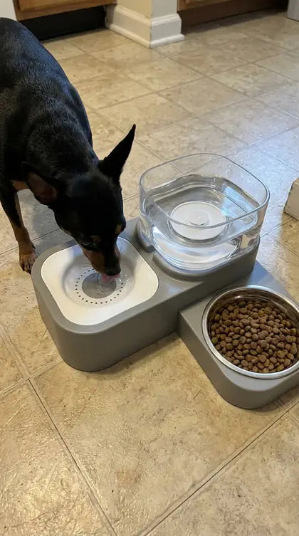 Customer photo featuring Furavora Gravity Water Station