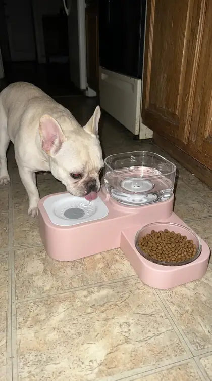 Customer photo featuring Furavora Gravity Water Station