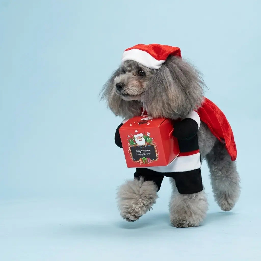Furavora Upright Hero Costume — Red