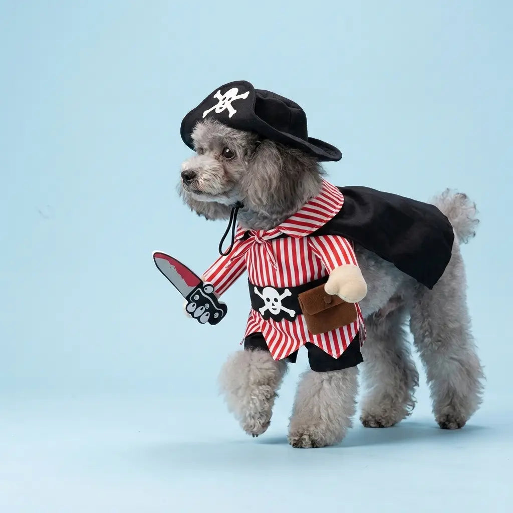 Furavora Upright Hero Costume — Pirate with a knife