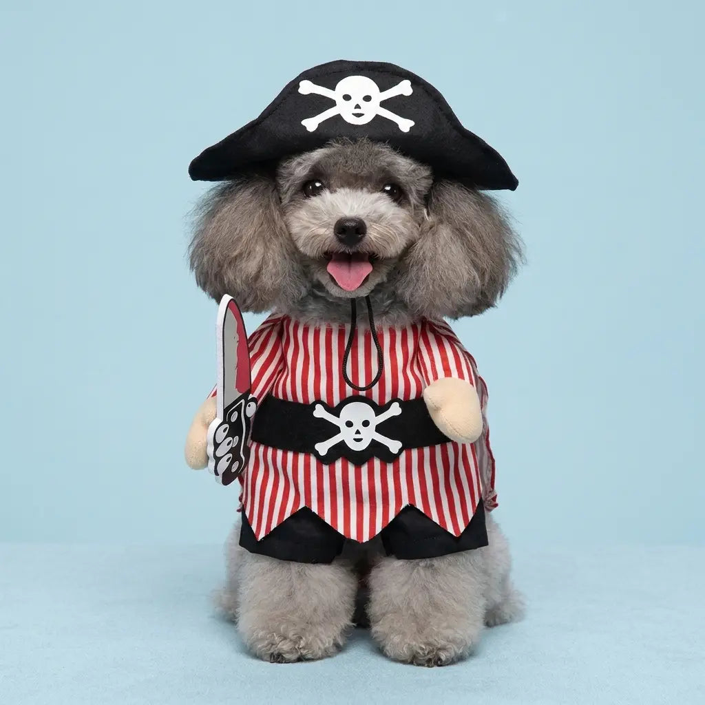Furavora Upright Hero Costume — Pirate with a knife