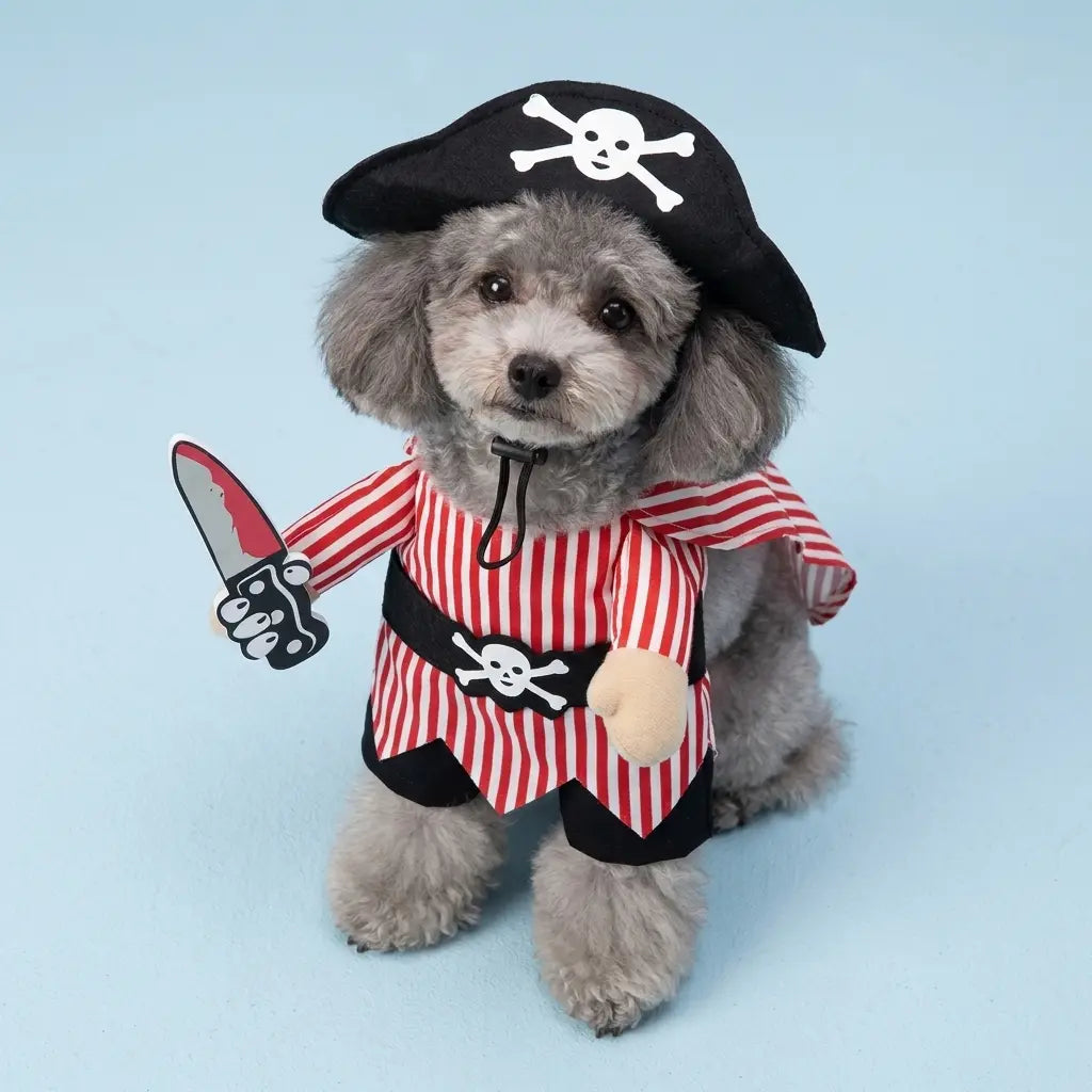 Furavora Upright Hero Costume — Pirate with a knife